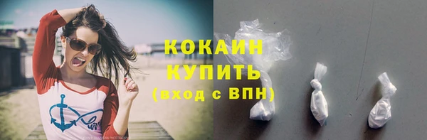 PSILOCYBIN Коряжма