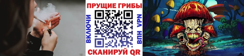 где купить наркоту  Лебедянь  Псилоцибиновые грибы Psilocybine cubensis 